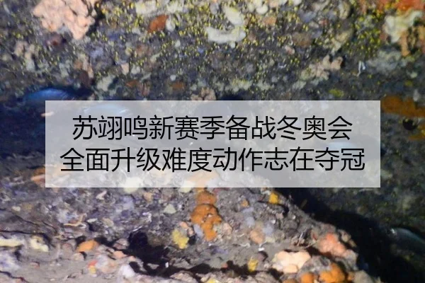 su-yi-ming-xin-sai-ji-bei-zhan-dong-ao-hui-quan-mian-sheng-ji-nan-du-dong-zuo-zhi-zai-duo-guan-3-731.jpg