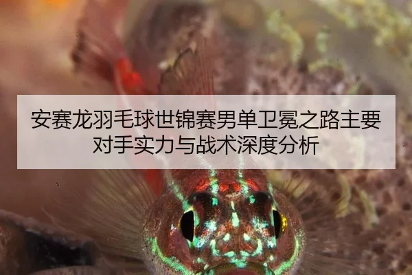 安赛龙羽毛球世锦赛男单卫冕之路主要对手实力与战术深度分析